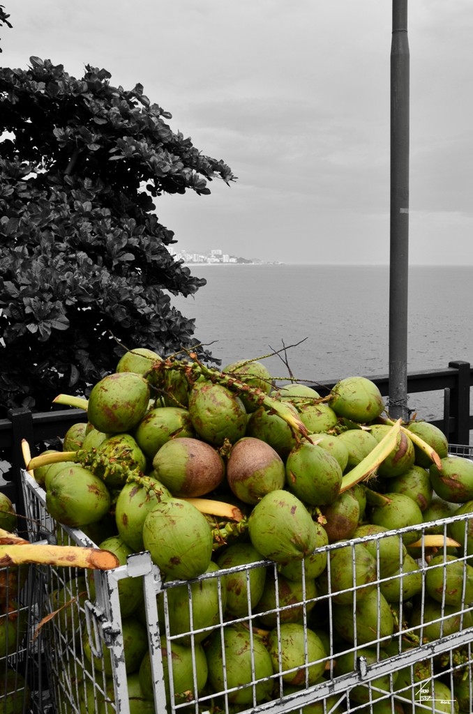 foto_arquiteto_Thoni_Litsz_Leblon_01