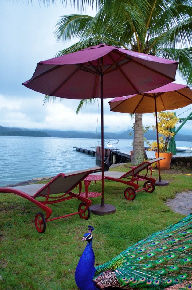 Caramanchão da praia – arquiteto Thoni Litsz – Ilha de Caras 2017 -04