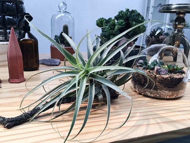 colunas-flo-atelier-16-0502