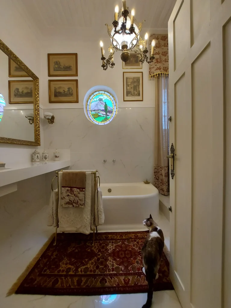 Sala de Banho do Solar de Laranjeiras retrofit do arquiteto Thoni Litsz